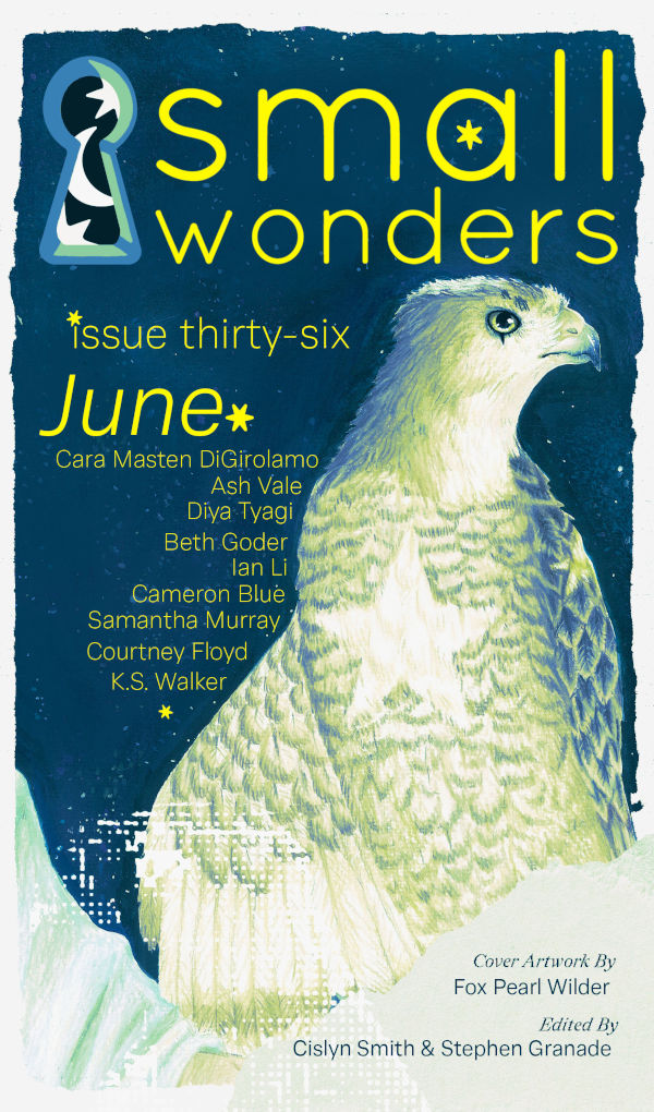 Small Wonders magazine issue 36 cover
